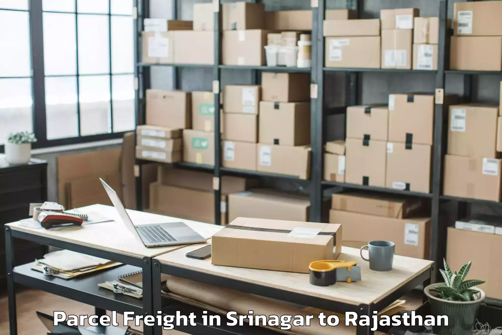 Expert Srinagar to Jagannath University Jaipur Parcel Freight